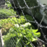 Malla Antipajaros 2,1mt x mt 25x25mm Negro