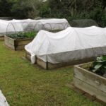 Manta Termica Antihelada 1,4mt x mt -5°C Blanca